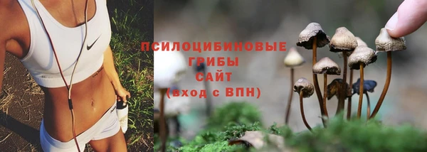 прущий лед Арсеньев